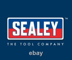 S01193 Sealey Tools 4pc Heavy-Duty Pry Bar Set with Hammer Cap Pry Bars, Heel B